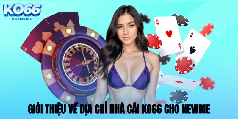 Giới thiệu về địa chỉ nhà cái KO66 cho newbie